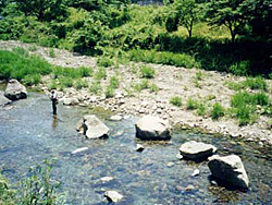 釣り（清水市茂野島地先）の写真