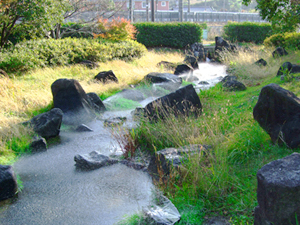 原野谷川親水公園の写真2