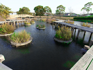 原谷川親水公園の写真1