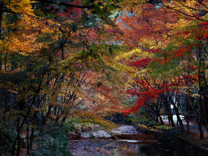 小国神社付近（おぐにじんじゃふきん）の写真