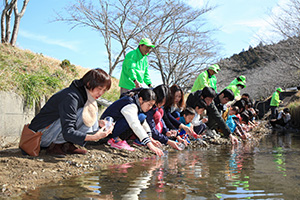 ホタルの幼虫の放流の様子