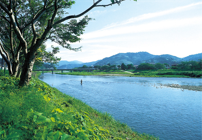 太田川