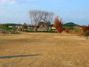 和田岡親水公園の写真1