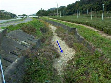 竜今寺川上流の瀬涸れ写真