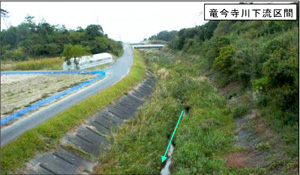 竜今寺川下流区間の写真