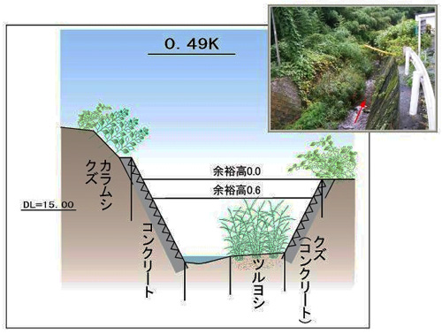 植物調査結果の画像