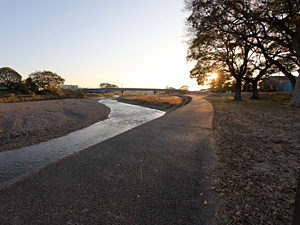 瀬戸川・遊歩道の写真