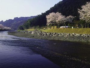 玉露の里（ぎょくろのさと）の写真