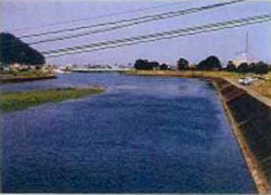 瀬戸川の写真