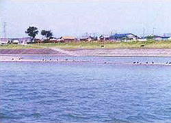瀬戸川水系下流部の写真