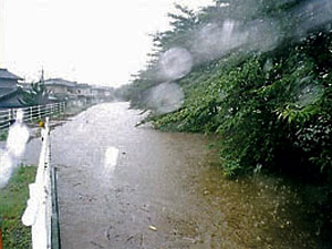 高草川の越水状況の写真