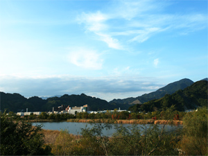 麻機遊水地第3工区の写真