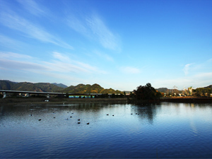 麻機遊水地第4工区の写真