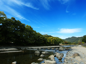 瀬名・水辺散策路の写真