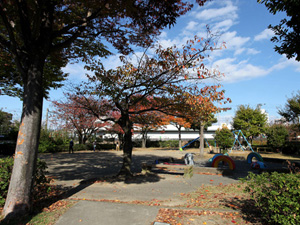 浜田公園の写真