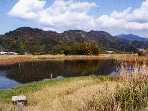 麻機遊水地第3工区の写真