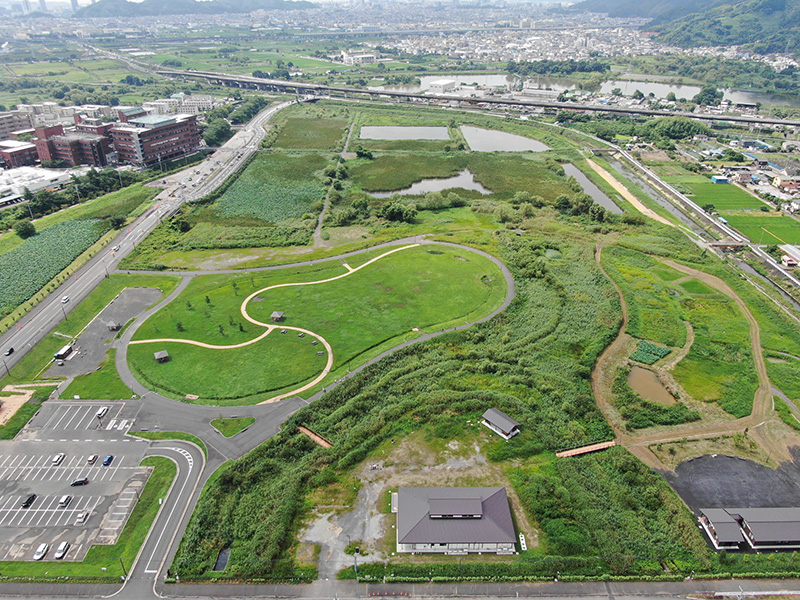 あさはた緑地 全景