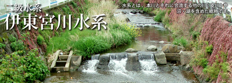 伊東宮川水系のホームページです