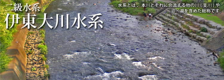 伊東大川水系のホームページです