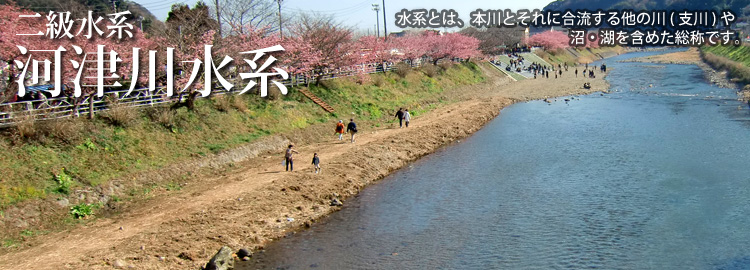 河津川水系のホームページです