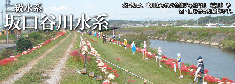 坂口谷川水系のホームページです