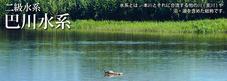 巴川水系のホームページです