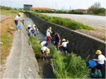 ホタルの保護活動（半尻川）