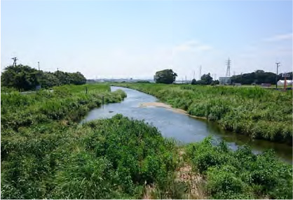 梅田川未改修区間の状況