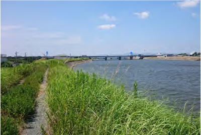 梅田川高潮対策区間の状況