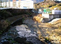 由比保育園前の階段護岸の写真