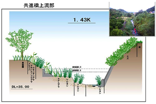 植物調査結果の画像