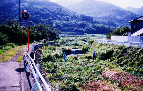 沿川住民による除草作業の写真