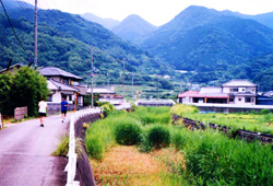 八木沢大川沿川の写真