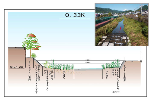 植物調査結果の画像